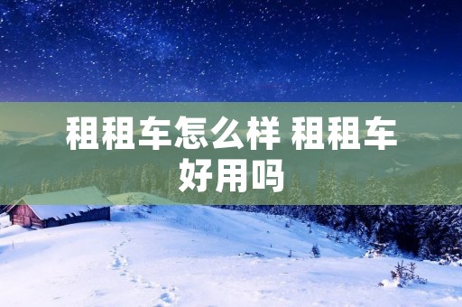 租租车怎么样 租租车好用吗