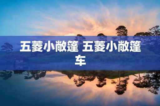 五菱小敞篷 五菱小敞篷车