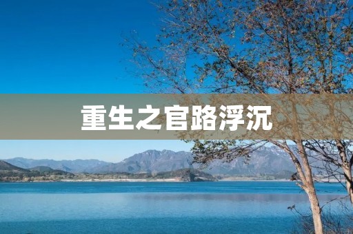 重生之官路浮沉:权谋与挣扎的人生旅程