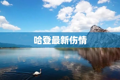 哈登最新伤情:重伤令球迷担忧 哈登最新伤情:重伤令球迷担忧