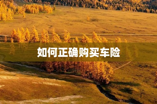 如何正确购买车险