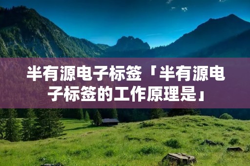 半有源电子标签「半有源电子标签的工作原理是」 半有源电子标签「半有源电子标签的工作原理是」