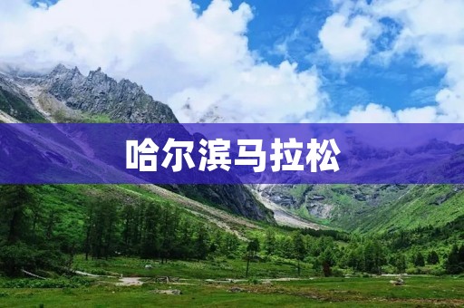 哈尔滨马拉松：冰城热血，奔跑**