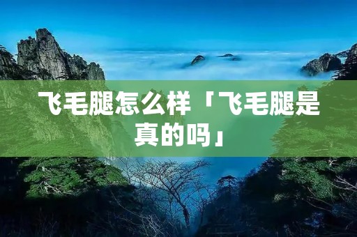 飞毛腿怎么样「飞毛腿是真的吗」