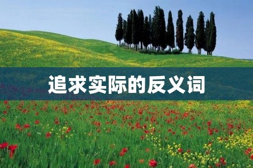 追求实际的反义词:脚踏实地