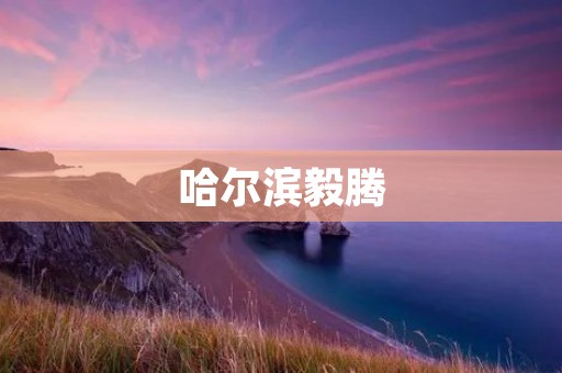 哈尔滨毅腾:从甲A到中甲的艰难转型之路 哈尔滨毅腾:从甲A到中甲的艰难转型之路