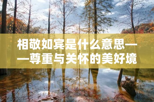 相敬如宾是什么意思——尊重与关怀的美好境地