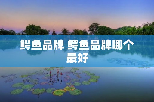 鳄鱼品牌 鳄鱼品牌哪个最好
