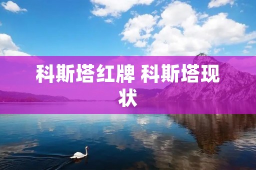 科斯塔红牌 科斯塔现状