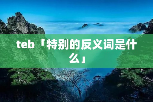 teb「特别的反义词是什么」