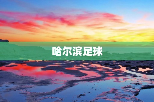 哈尔滨足球:传承与发展 哈尔滨足球:传承与发展