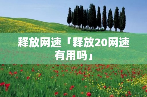 释放网速「释放20网速有用吗」