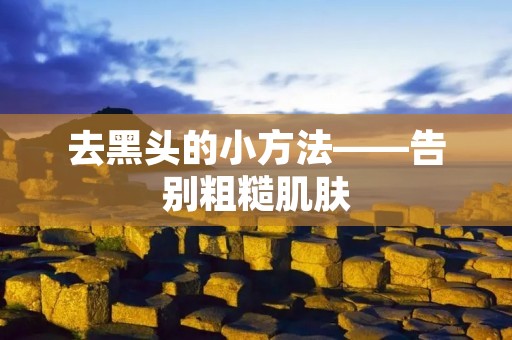 去黑头的小方法——告别粗糙肌肤 去黑头的小方法——告别粗糙肌肤