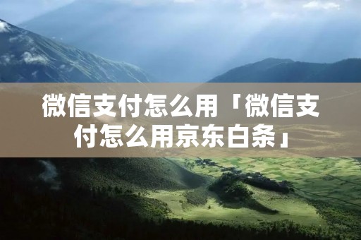 微信支付怎么用「微信支付怎么用京东白条」