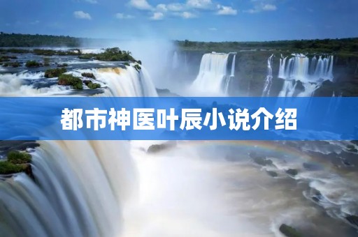 都市神医叶辰小说介绍