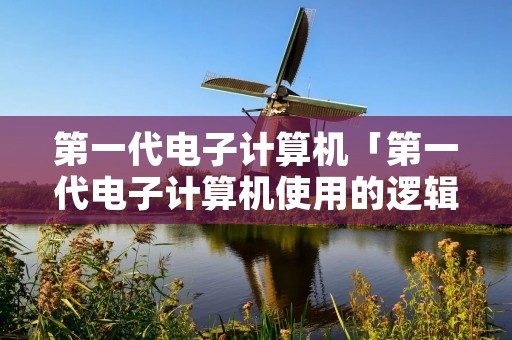 第一代电子计算机「第一代电子计算机使用的逻辑部件是」 第一代电子计算机「第一代电子计算机使用的逻辑部件是」