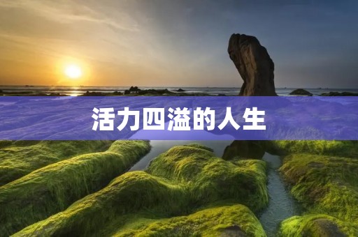 活力四溢的人生