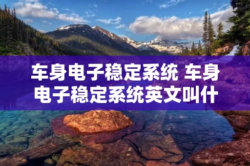 车身电子稳定系统 车身电子稳定系统英文叫什么