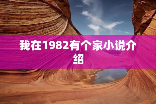 我在1982有个家小说介绍