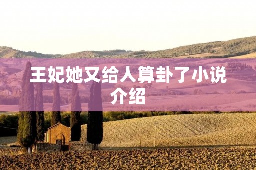王妃她又给人算卦了小说介绍