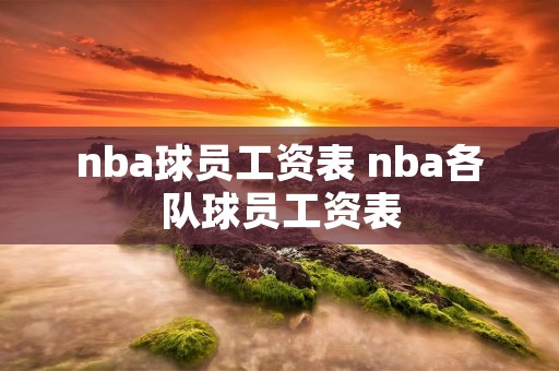 nba球员工资表 nba各队球员工资表 nba球员工资表 nba各队球员工资表