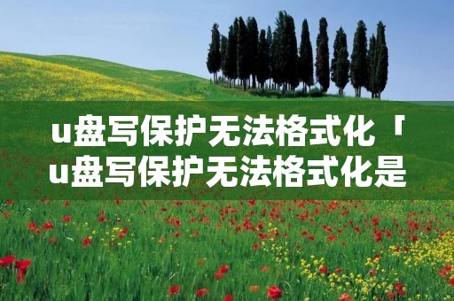 u盘写保护无法格式化「u盘写保护无法格式化是不是坏了」