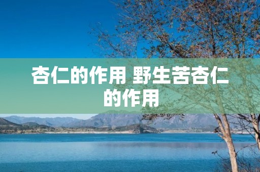 杏仁的作用 野生苦杏仁的作用