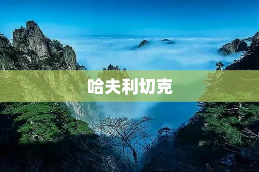 哈夫利切克:探索未知的科学艺术之旅 哈夫利切克:探索未知的科学艺术之旅