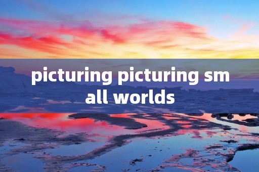 picturing picturing small worlds