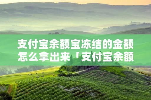 支付宝余额宝冻结的金额怎么拿出来「支付宝余额宝冻结的金额怎么拿出来蚂蚁星愿」