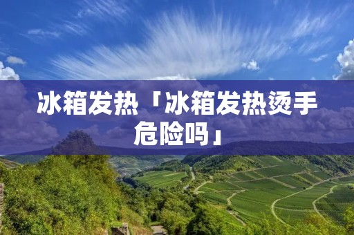 冰箱发热「冰箱发热烫手危险吗」