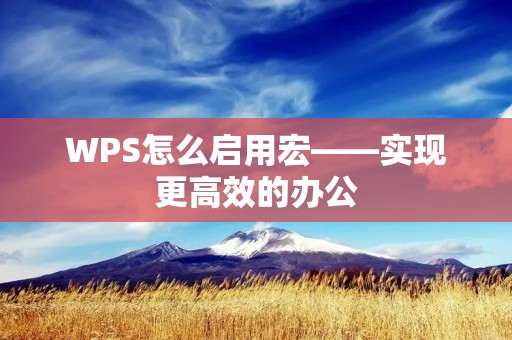 WPS怎么启用宏——实现更高效的办公