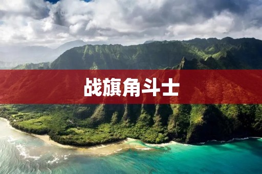 战旗角斗士：拥抱**与荣耀的战斗之路