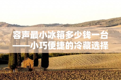 容声最小冰箱多少钱一台——小巧便捷的冷藏选择 容声最小冰箱多少钱一台——小巧便捷的冷藏选择