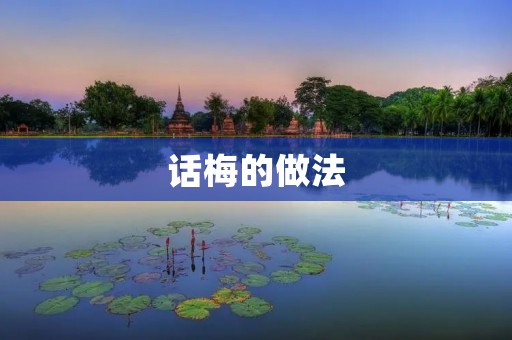 话梅的做法:简单又美味的自制话梅 话梅的做法:简单又美味的自制话梅