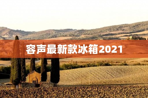 容声最新款冰箱2021：科技与时尚的完美结合