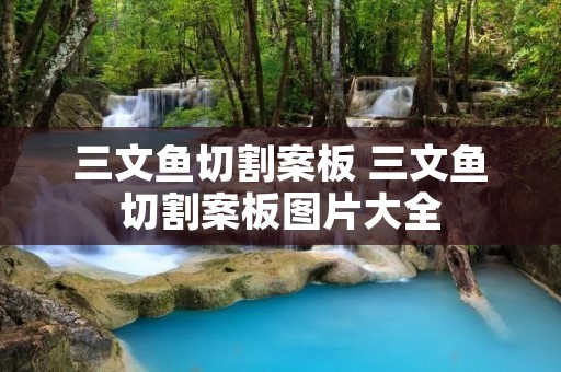 三文鱼切割案板 三文鱼切割案板图片大全