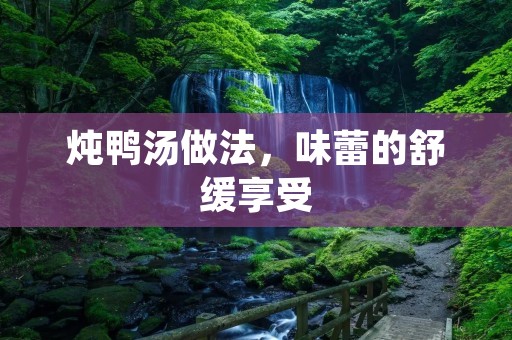 炖鸭汤做法，味蕾的舒缓享受