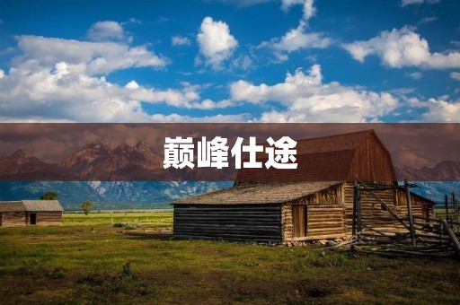 巅峰仕途:如何在职场中脱颖而出