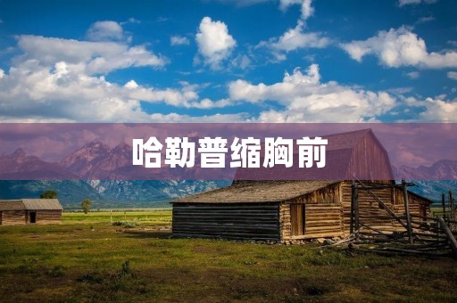 哈勒普缩胸前:从少女到女王,她的胸部之谜 哈勒普缩胸前:从少女到女王,她的胸部之谜