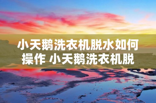 小天鹅洗衣机脱水如何操作 小天鹅洗衣机脱水视频教程