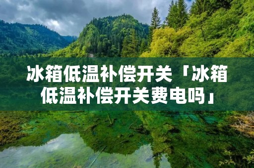冰箱低温补偿开关「冰箱低温补偿开关费电吗」 冰箱低温补偿开关「冰箱低温补偿开关费电吗」