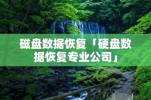 磁盘数据恢复「硬盘数据恢复专业公司」 磁盘数据恢复「硬盘数据恢复专业公司」