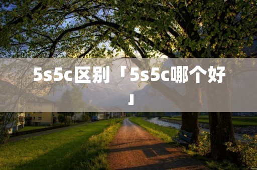 5s5c区别「5s5c哪个好」