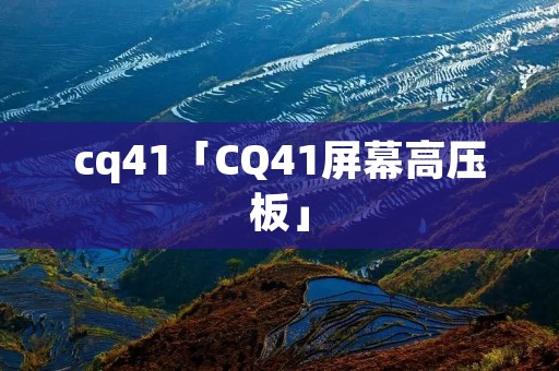cq41「CQ41屏幕高压板」 cq41「CQ41屏幕高压板」