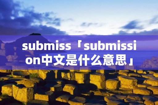 submiss「submission中文是什么意思」