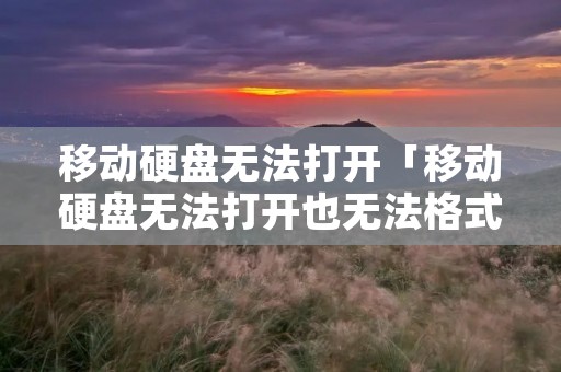 移动硬盘无法打开「移动硬盘无法打开也无法格式化怎么办」