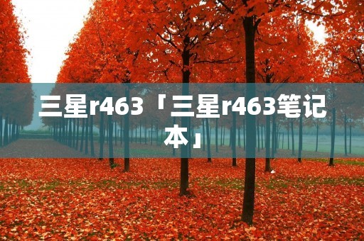 三星r463「三星r463笔记本」
