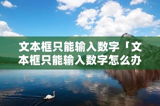 文本框只能输入数字「文本框只能输入数字怎么办」