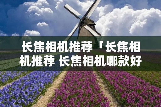 长焦相机推荐「长焦相机推荐 长焦相机哪款好」